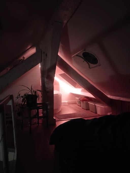 Studio Sous Les Toits Et Mezzanine - 万塞讷 外观 照片